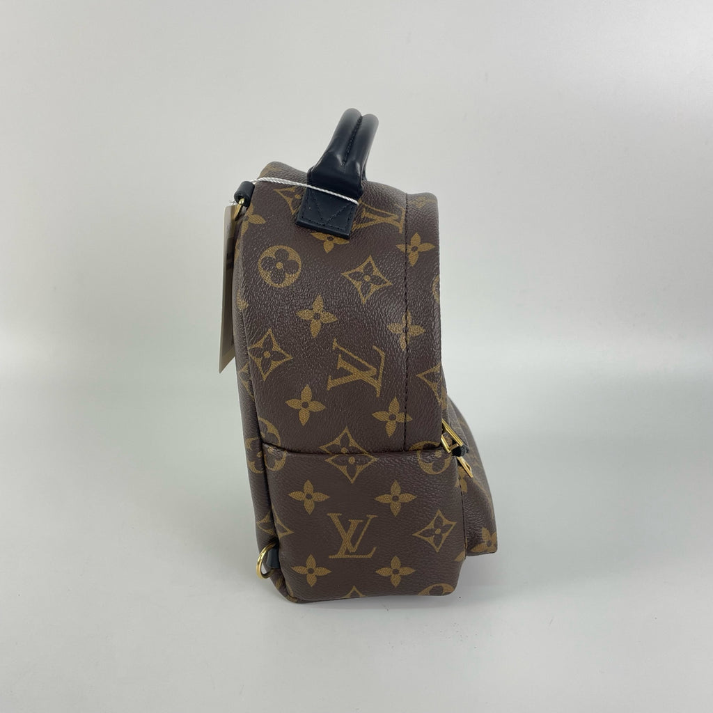 Louis Vuitton Backpack