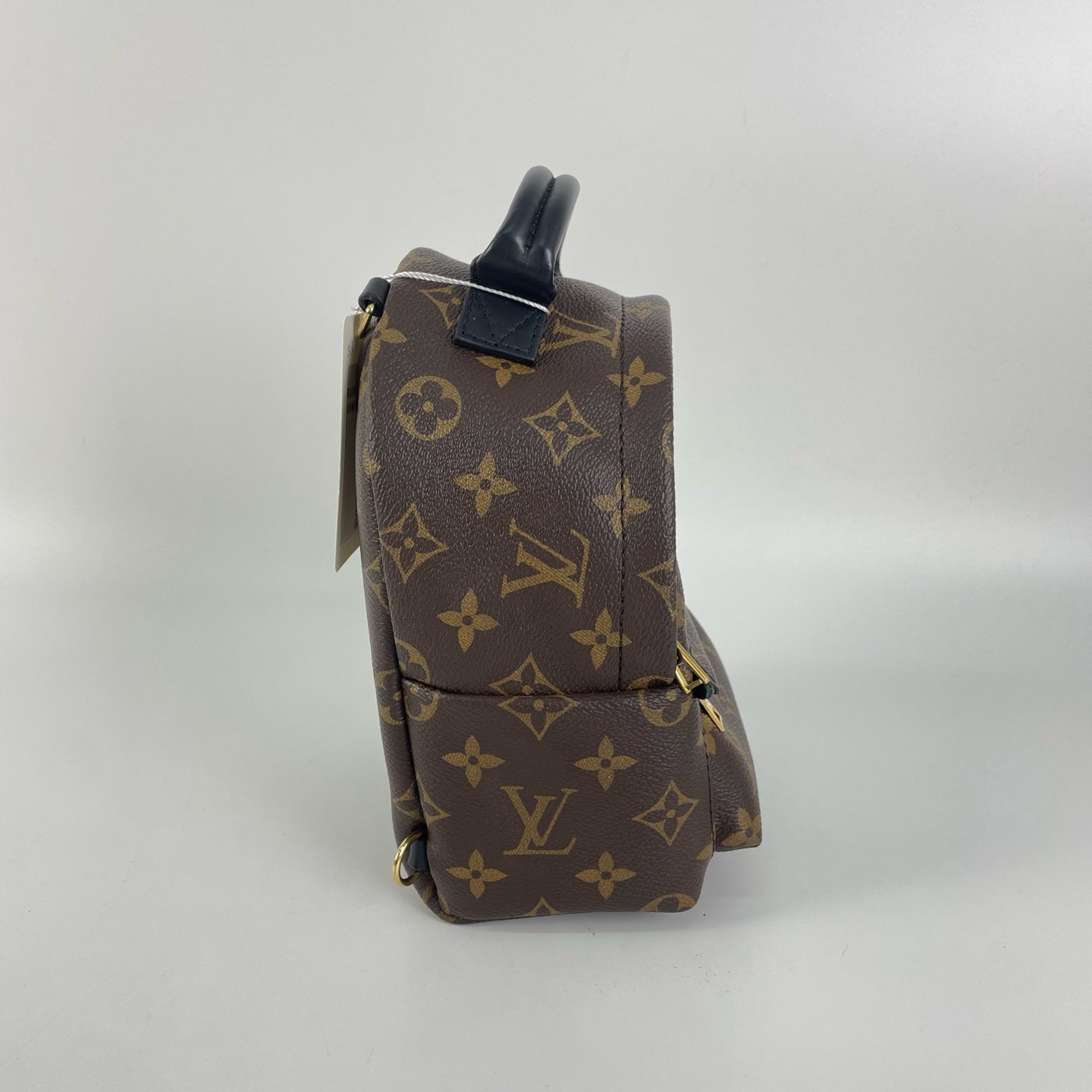 Louis Vuitton Backpack