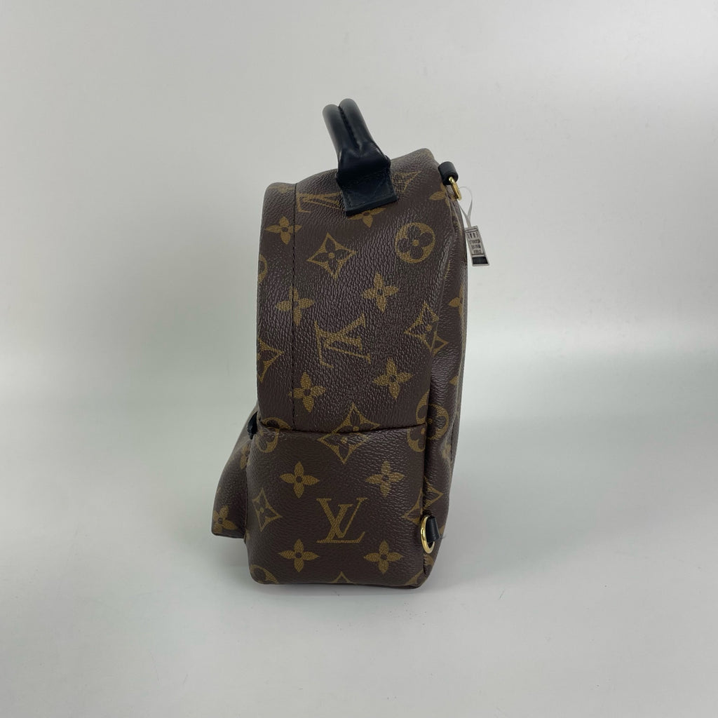 Louis Vuitton Backpack