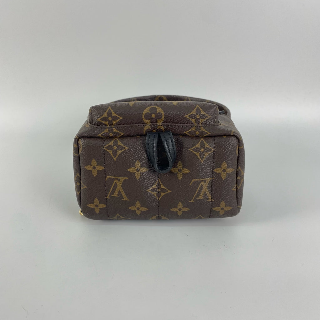 Louis Vuitton Backpack