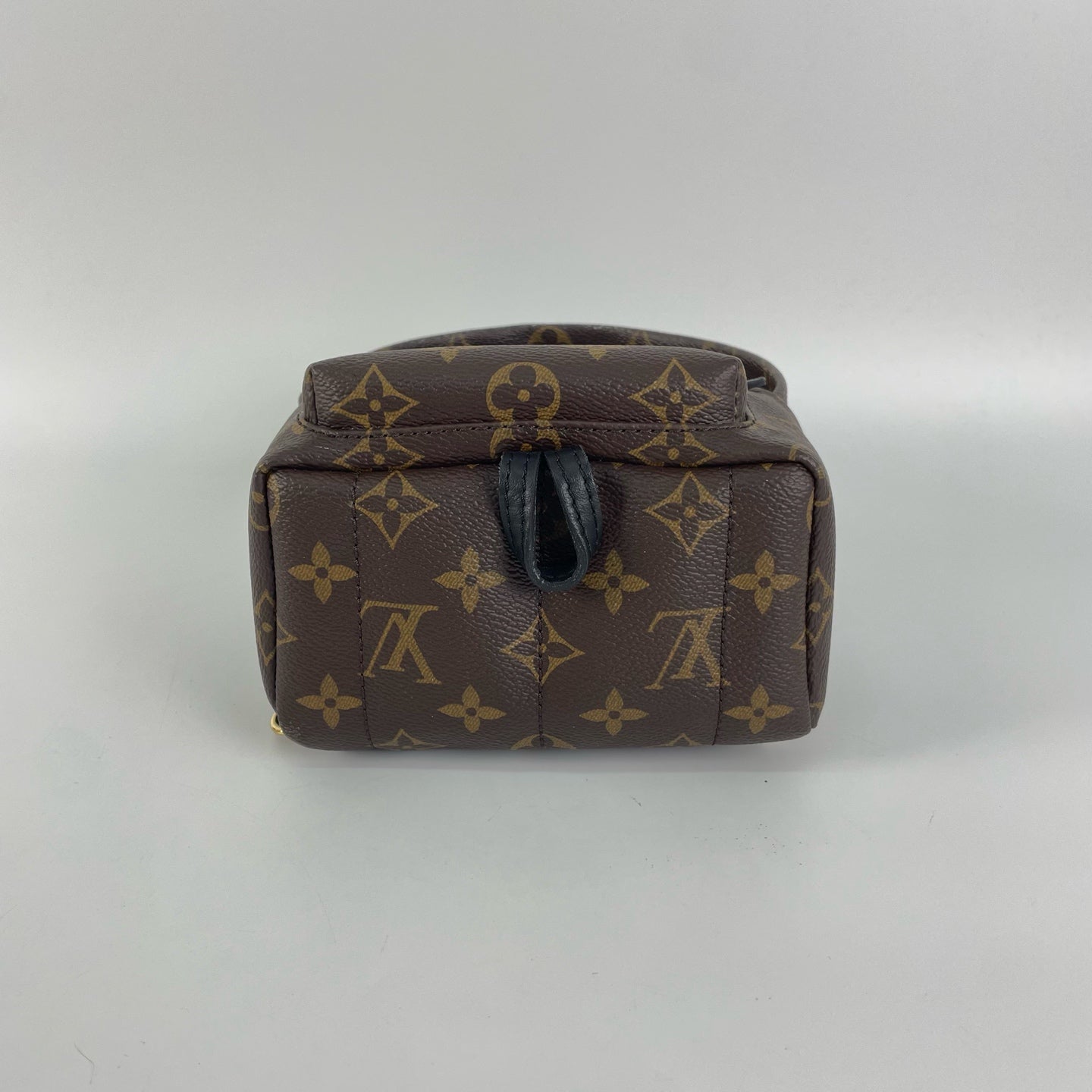 Louis Vuitton Backpack