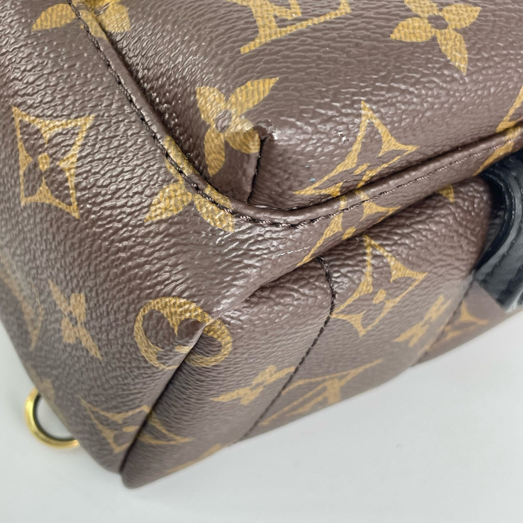 Louis Vuitton Backpack