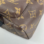 Louis Vuitton Backpack