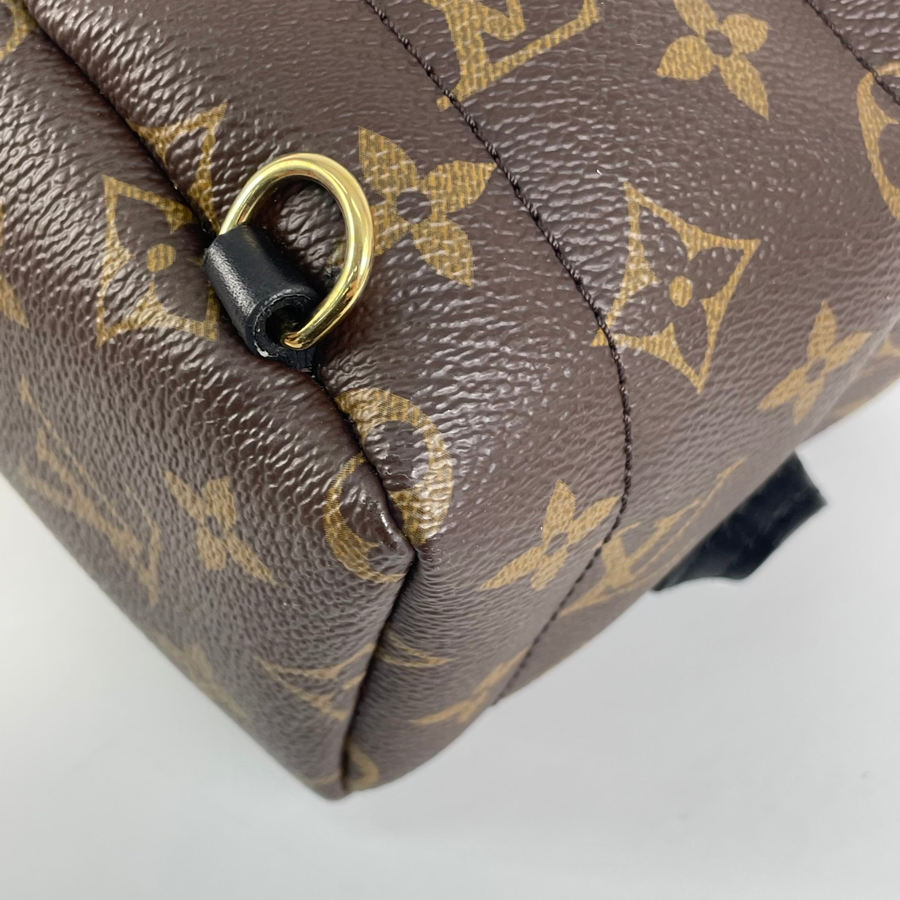 Louis Vuitton Backpack