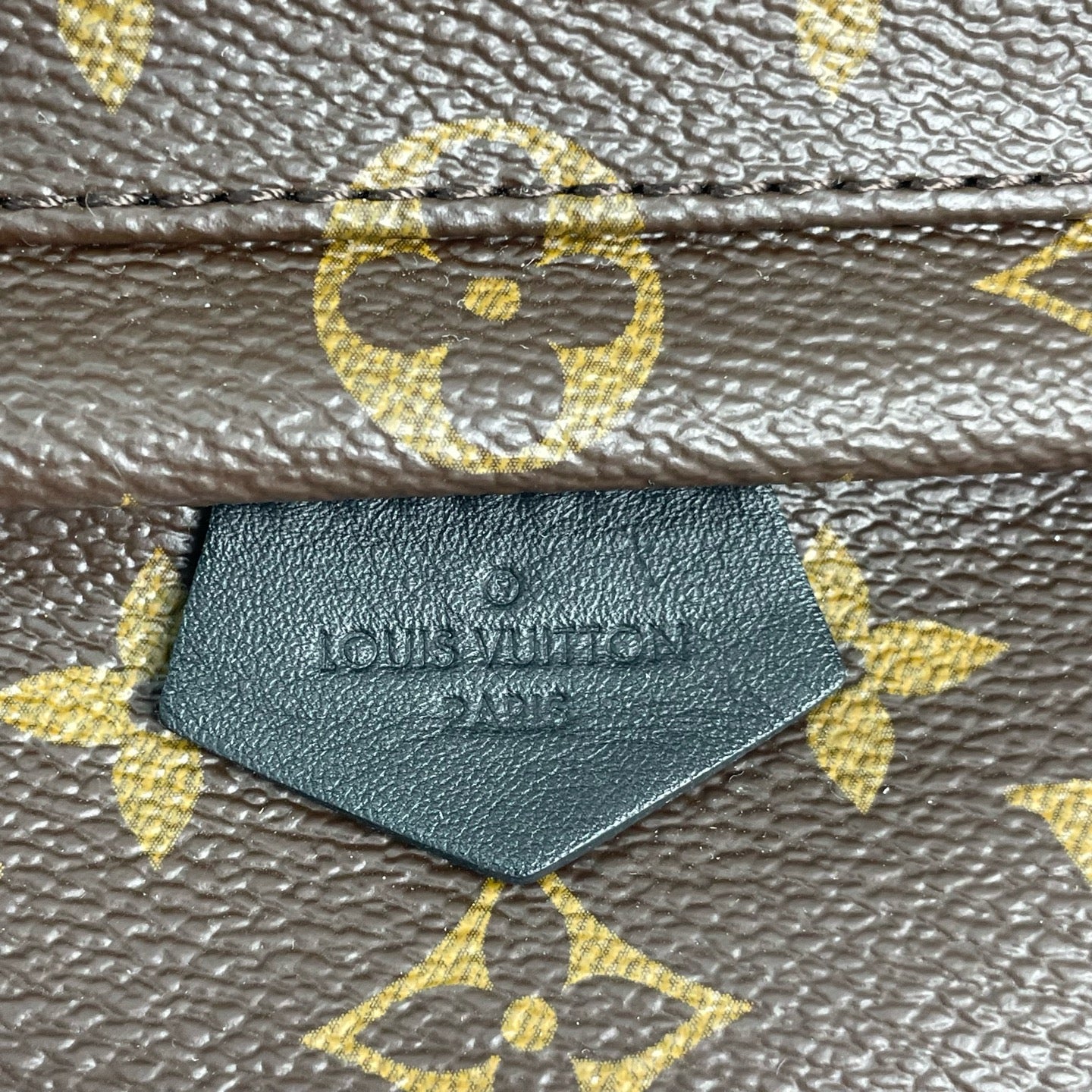Louis Vuitton Backpack