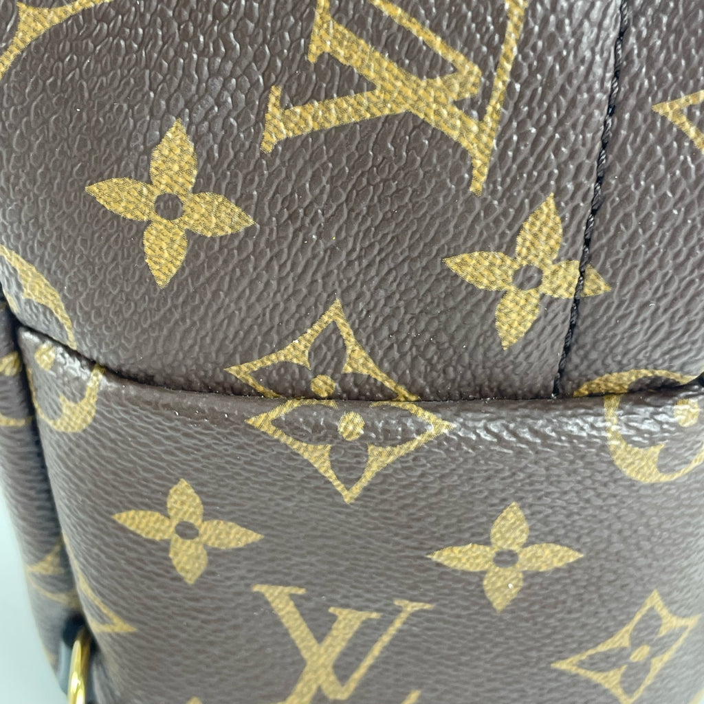 Louis Vuitton Backpack