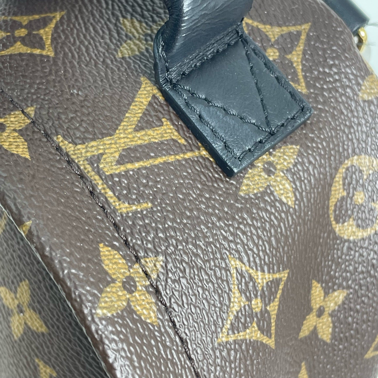Louis Vuitton Backpack