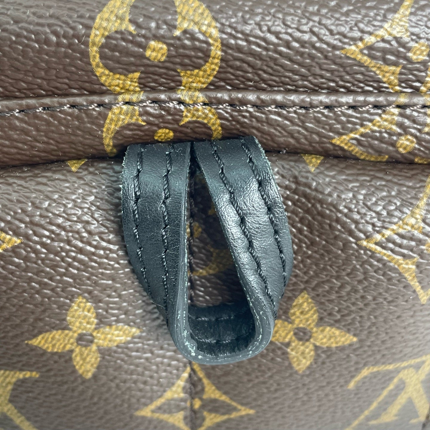 Louis Vuitton Backpack
