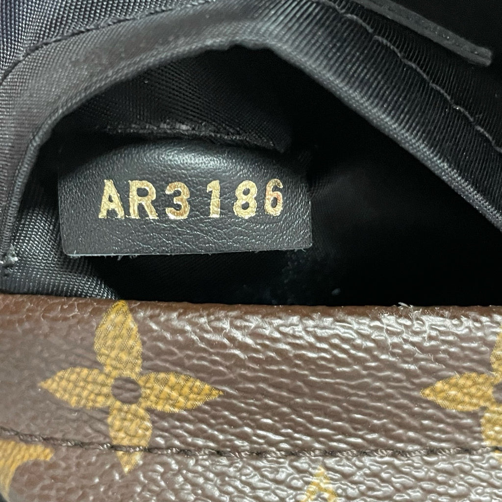 Louis Vuitton Backpack