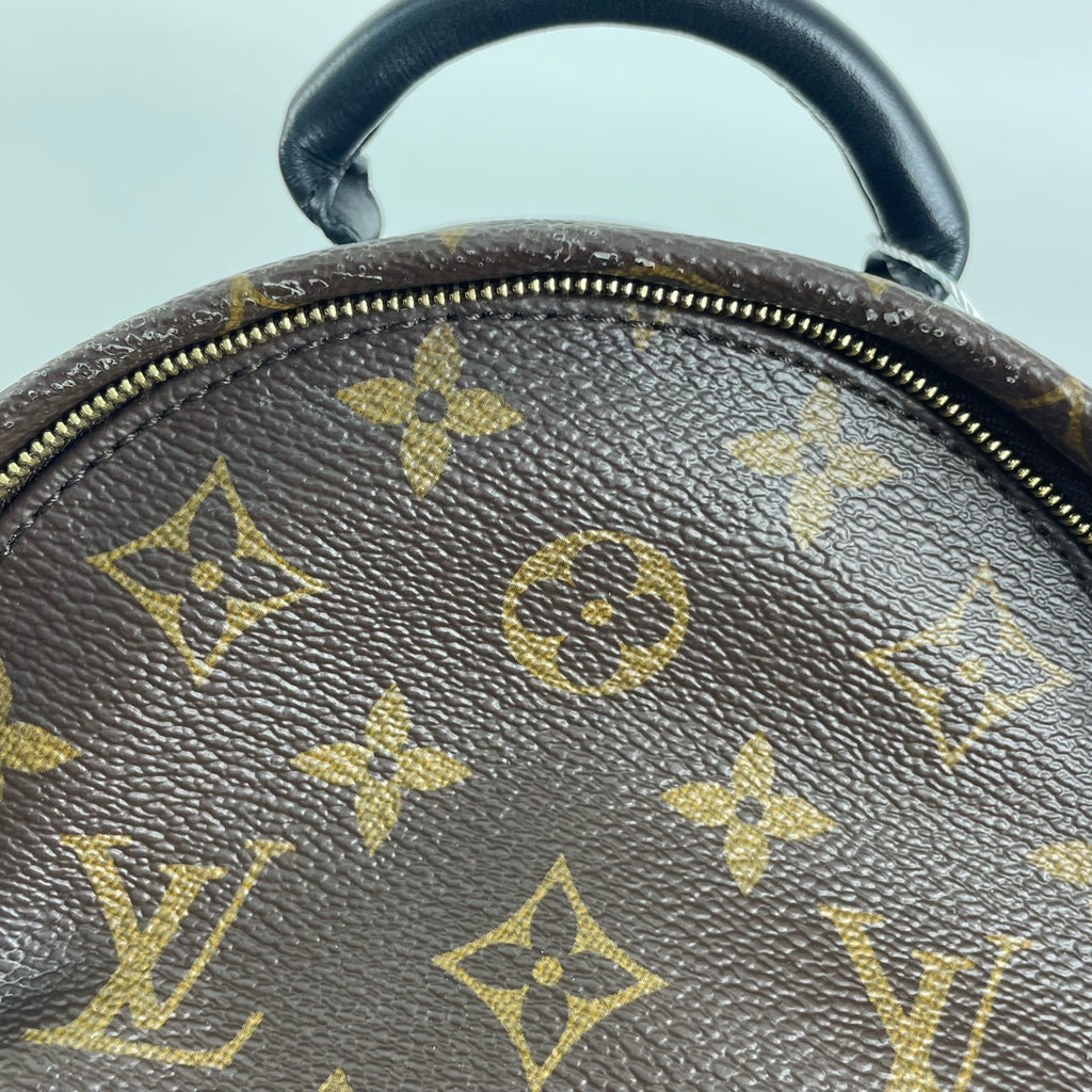 Louis Vuitton Backpack