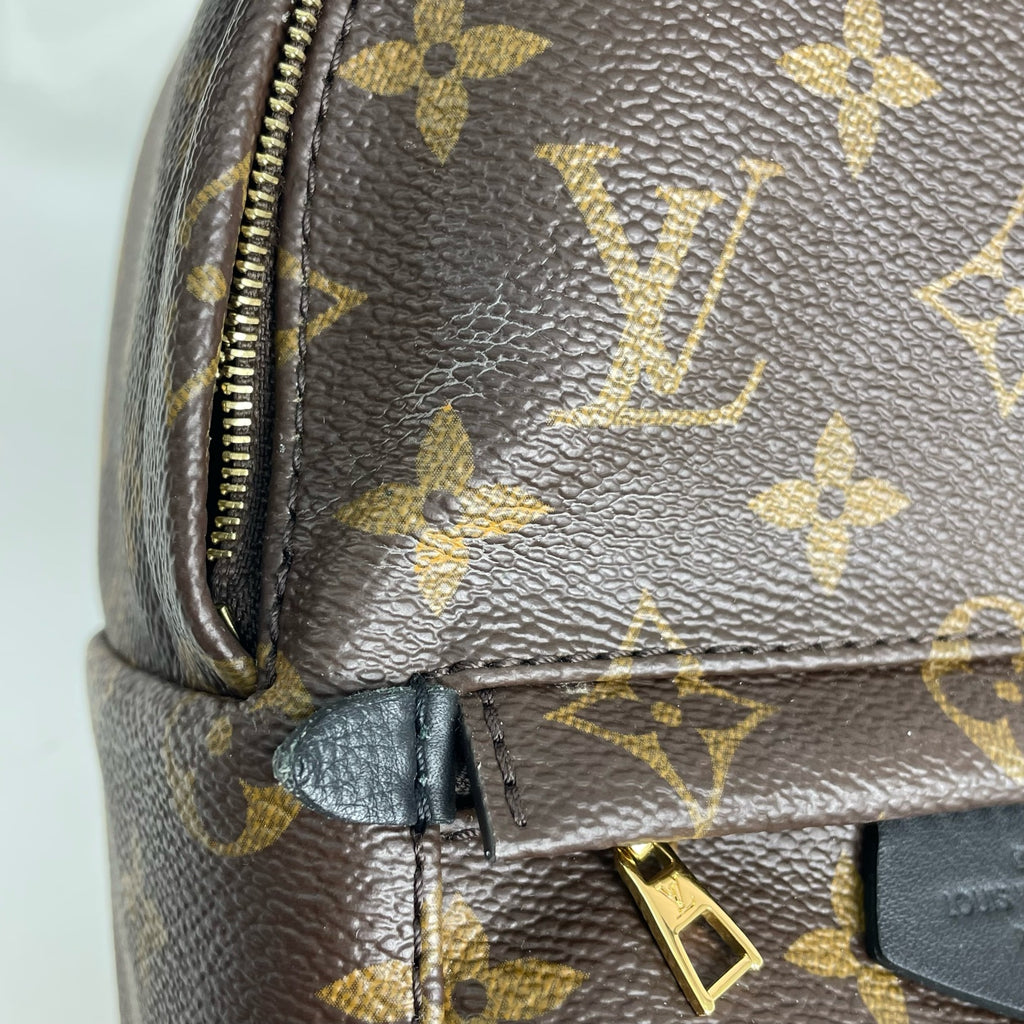 Louis Vuitton Backpack