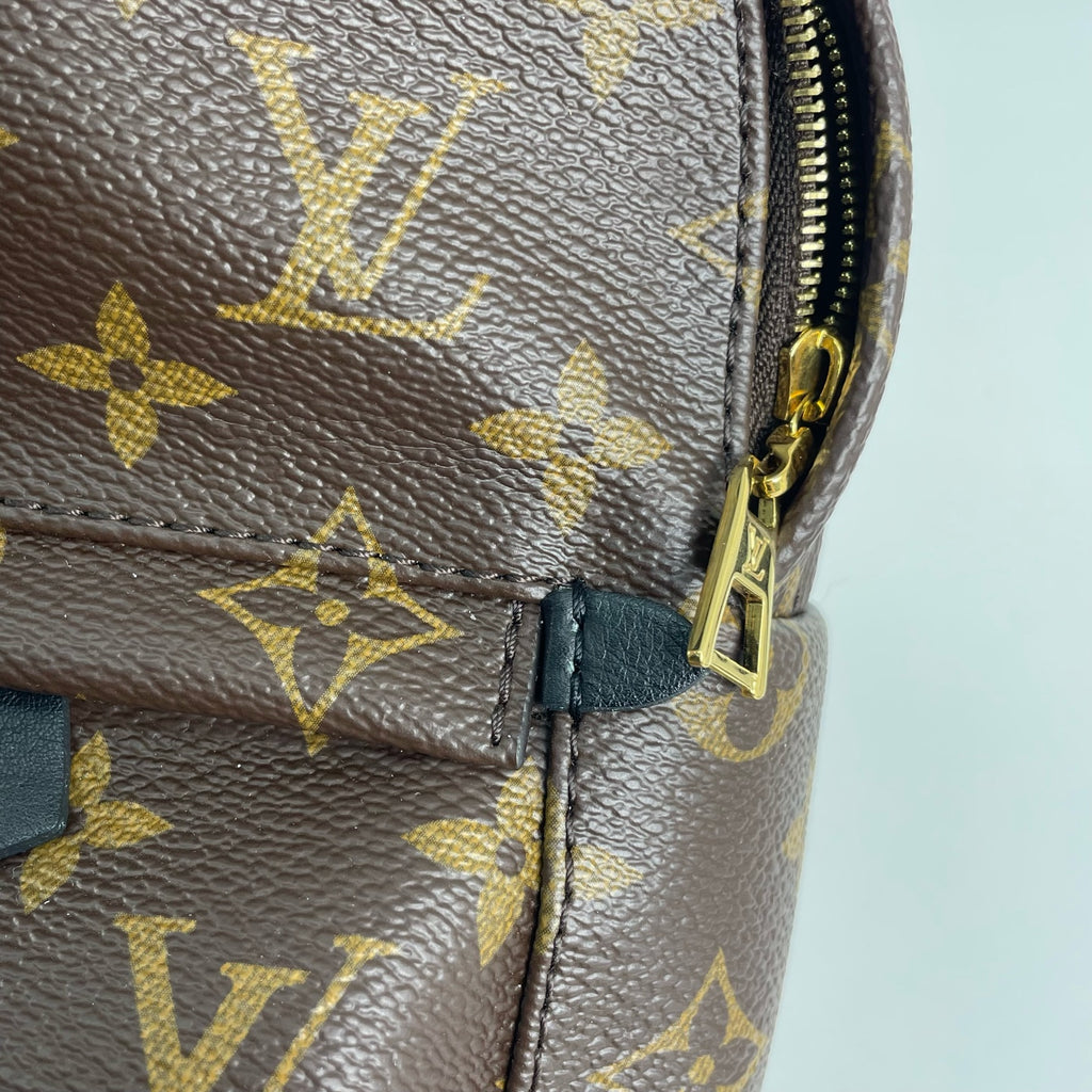 Louis Vuitton Backpack