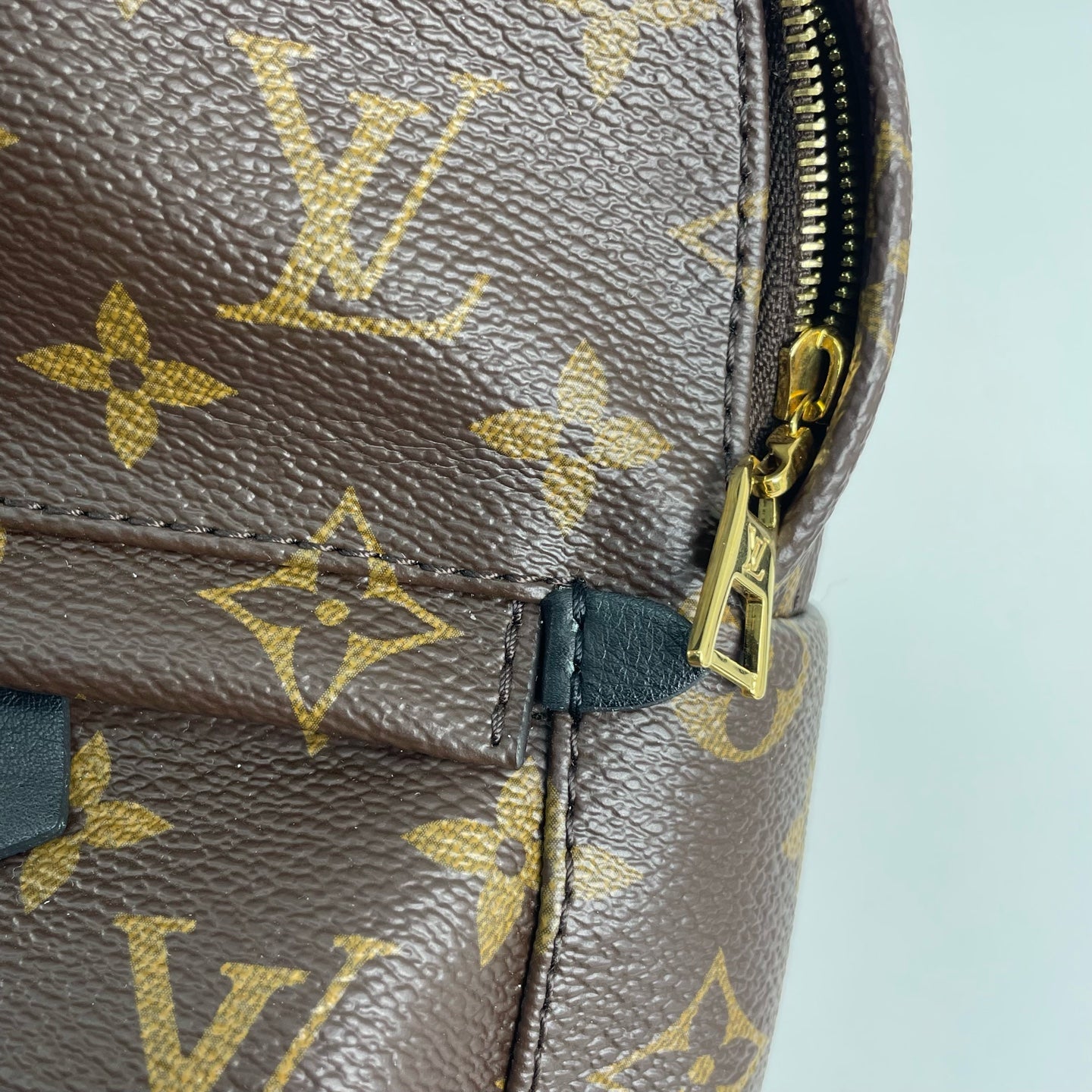 Louis Vuitton Backpack