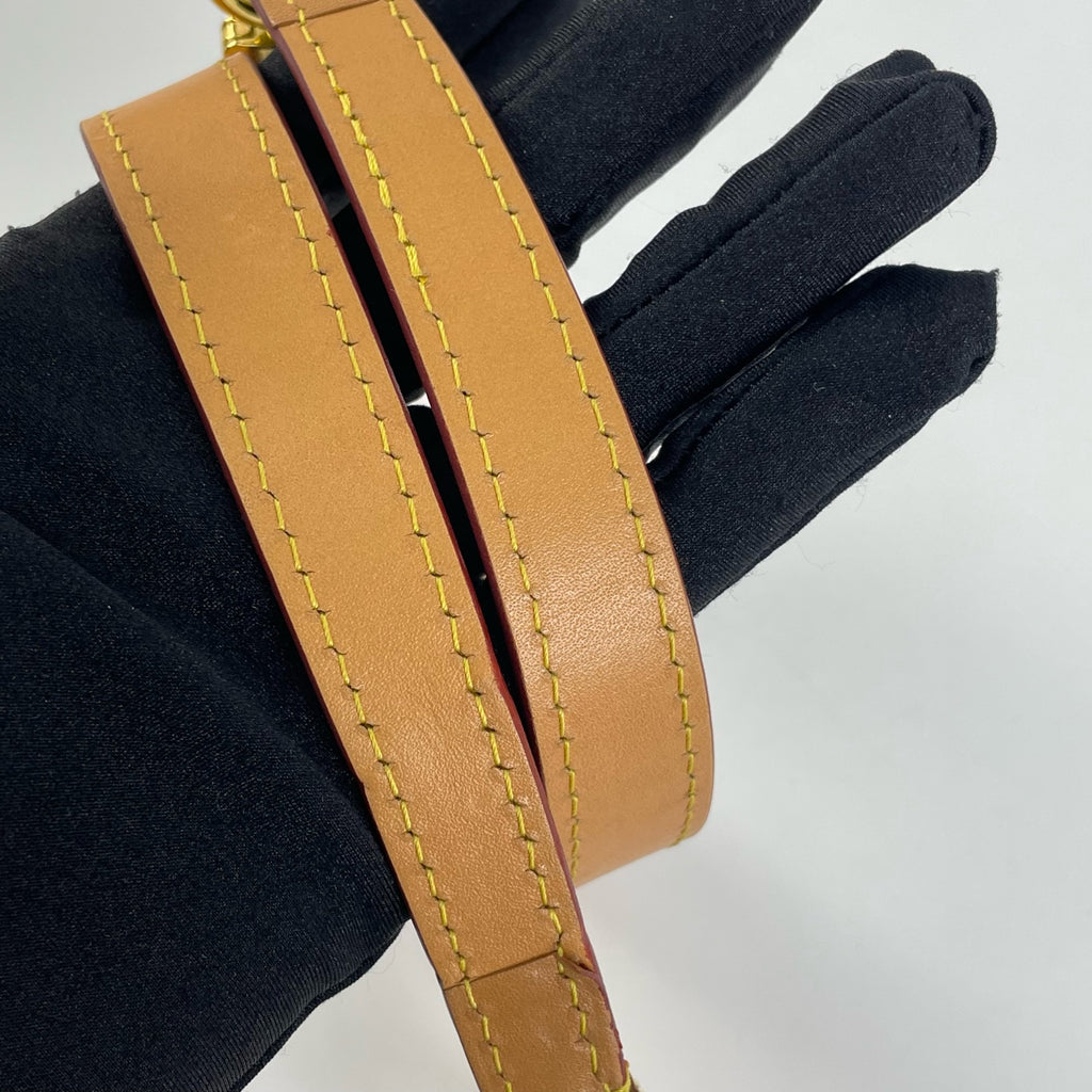 Louis Vuitton Crossbody
