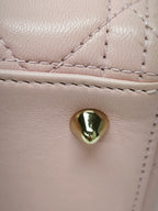 Dior Pink Crossbody