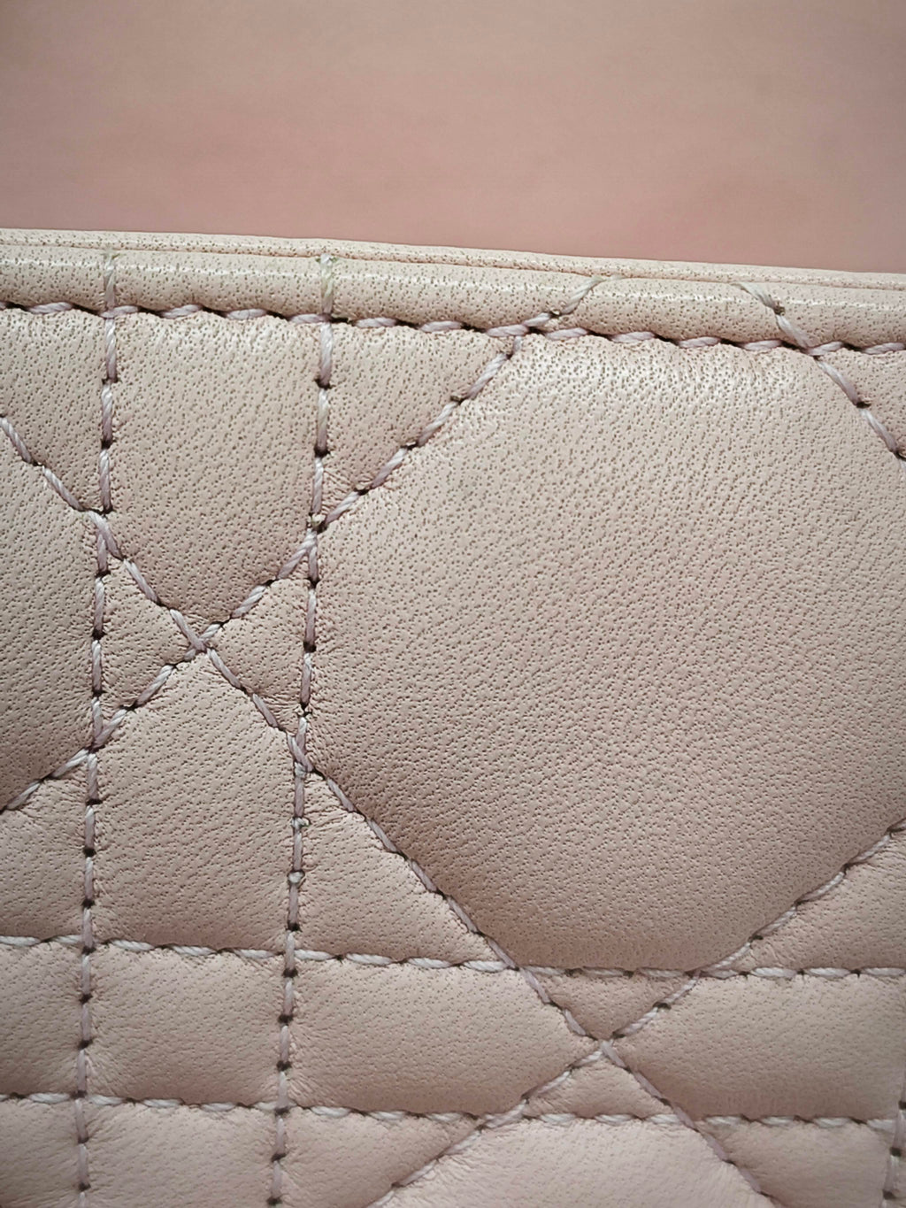 Dior Pink Crossbody