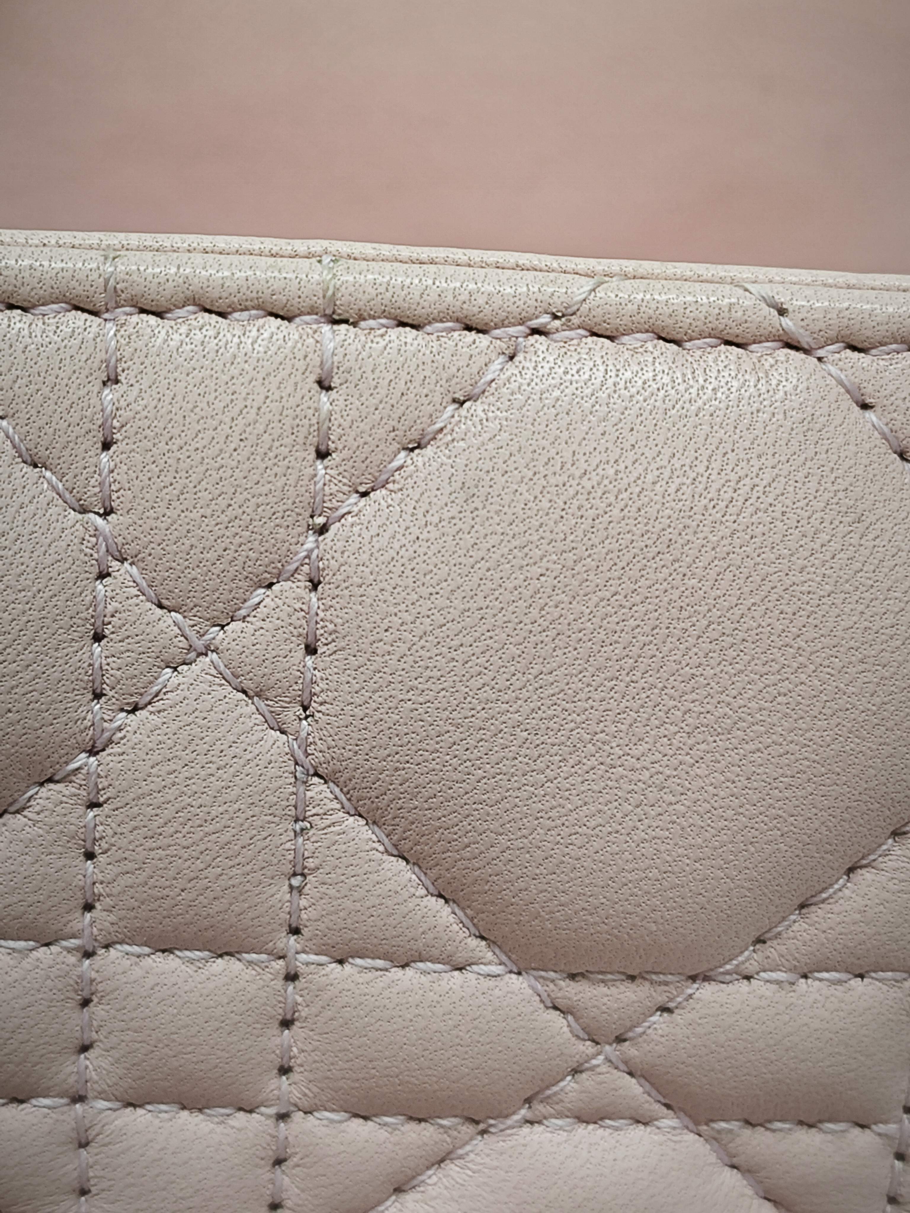 Dior Pink Crossbody