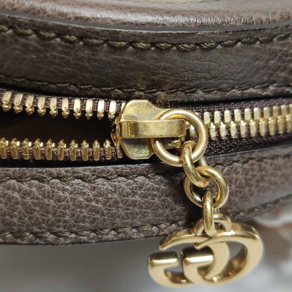 Gucci Ophidia Collection Canvas Crossbody 550618 96I3B 8745