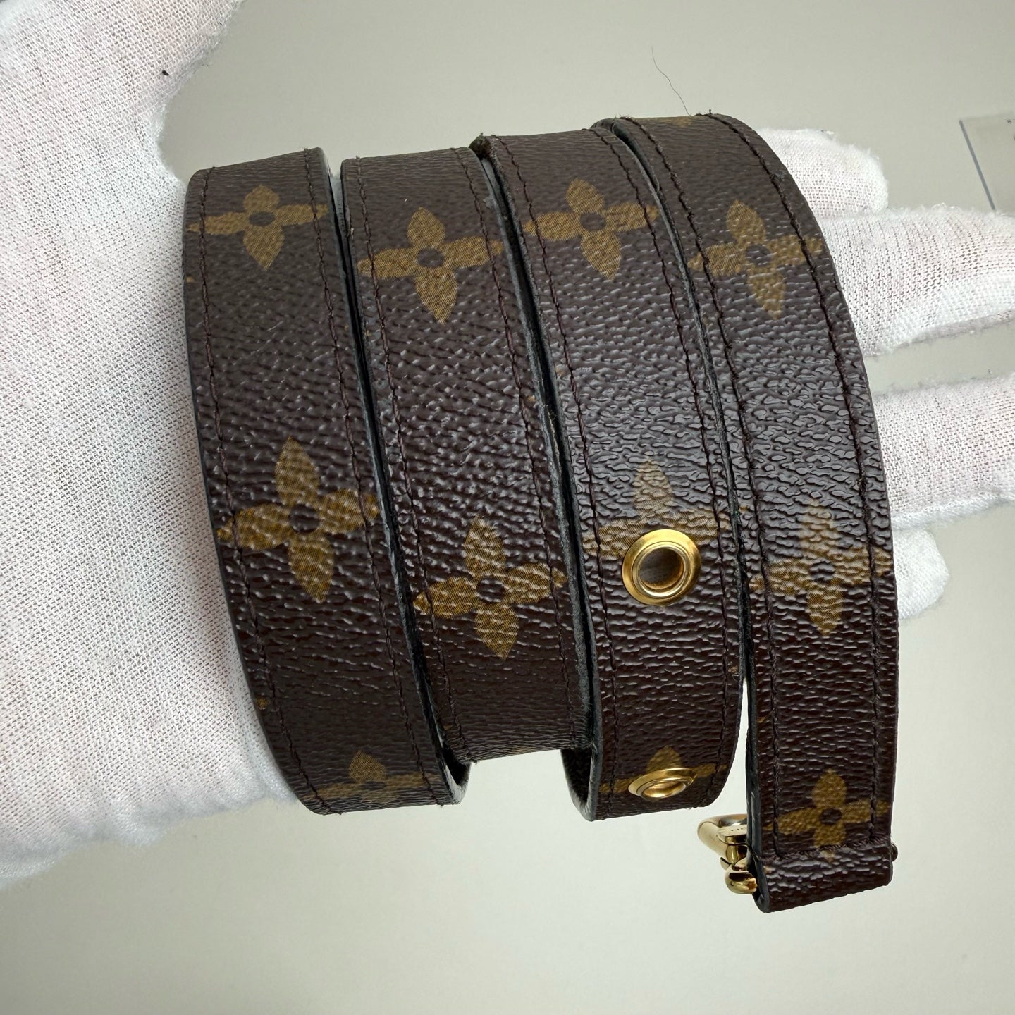 Louis Vuitton Pochette Métis Brown Messenger Bag