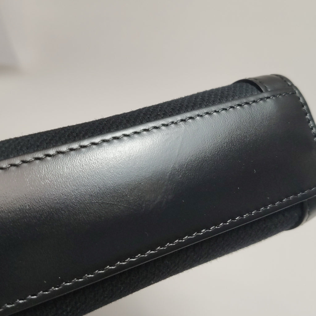 Celine Canvas Crossbody 193302CSU.38NO