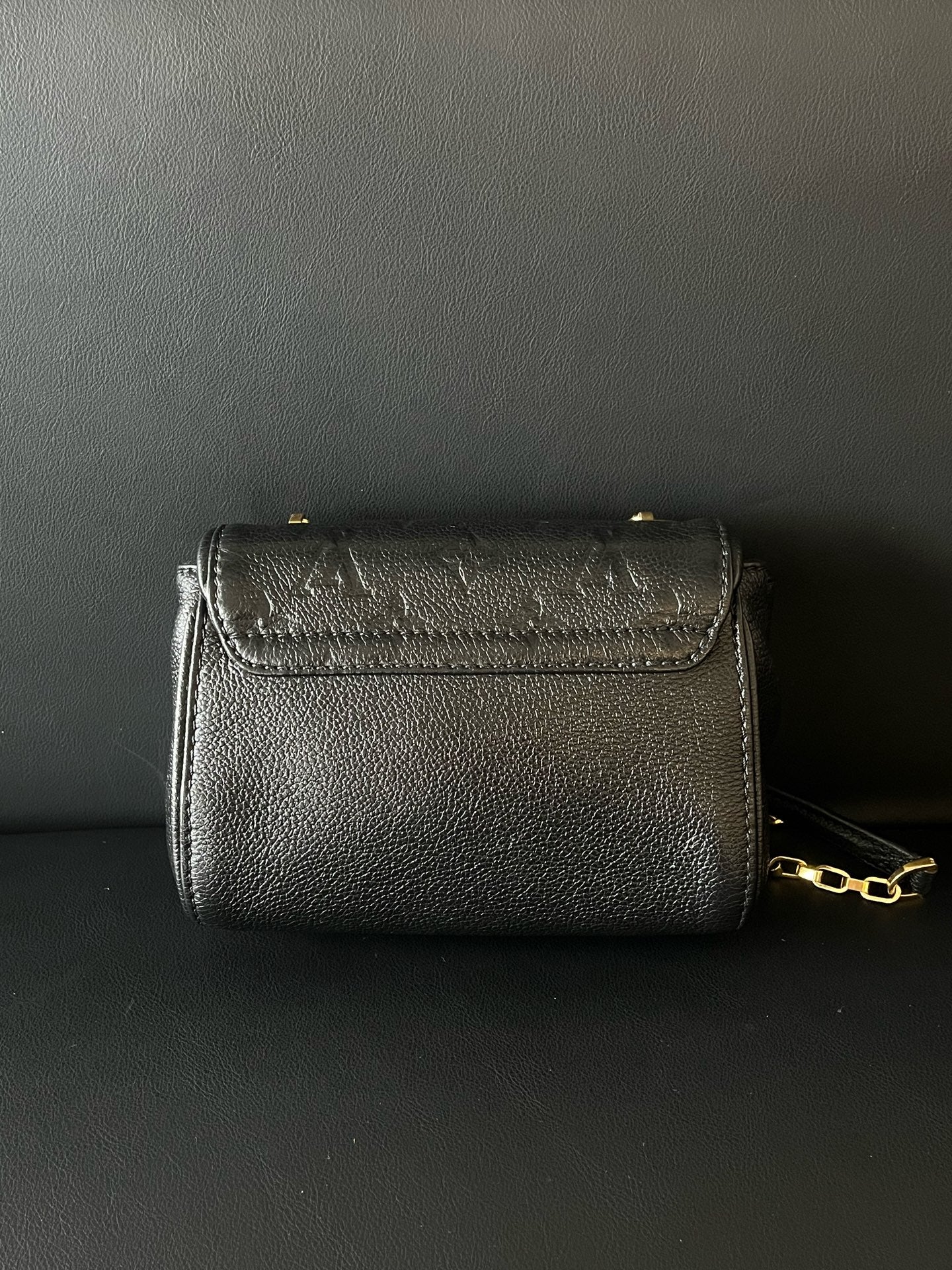 Louis Vuitton Black