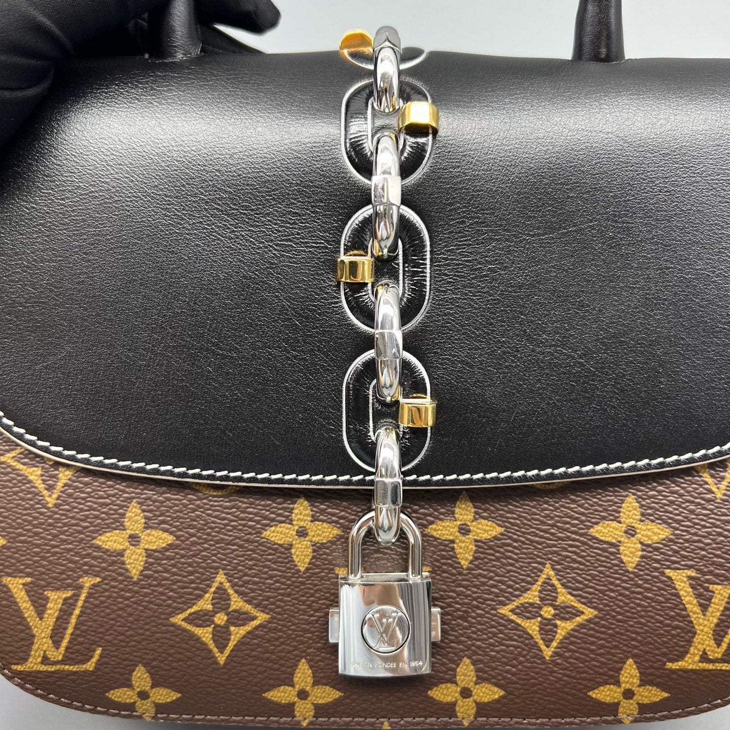 Louis Vuitton Saddle Bag