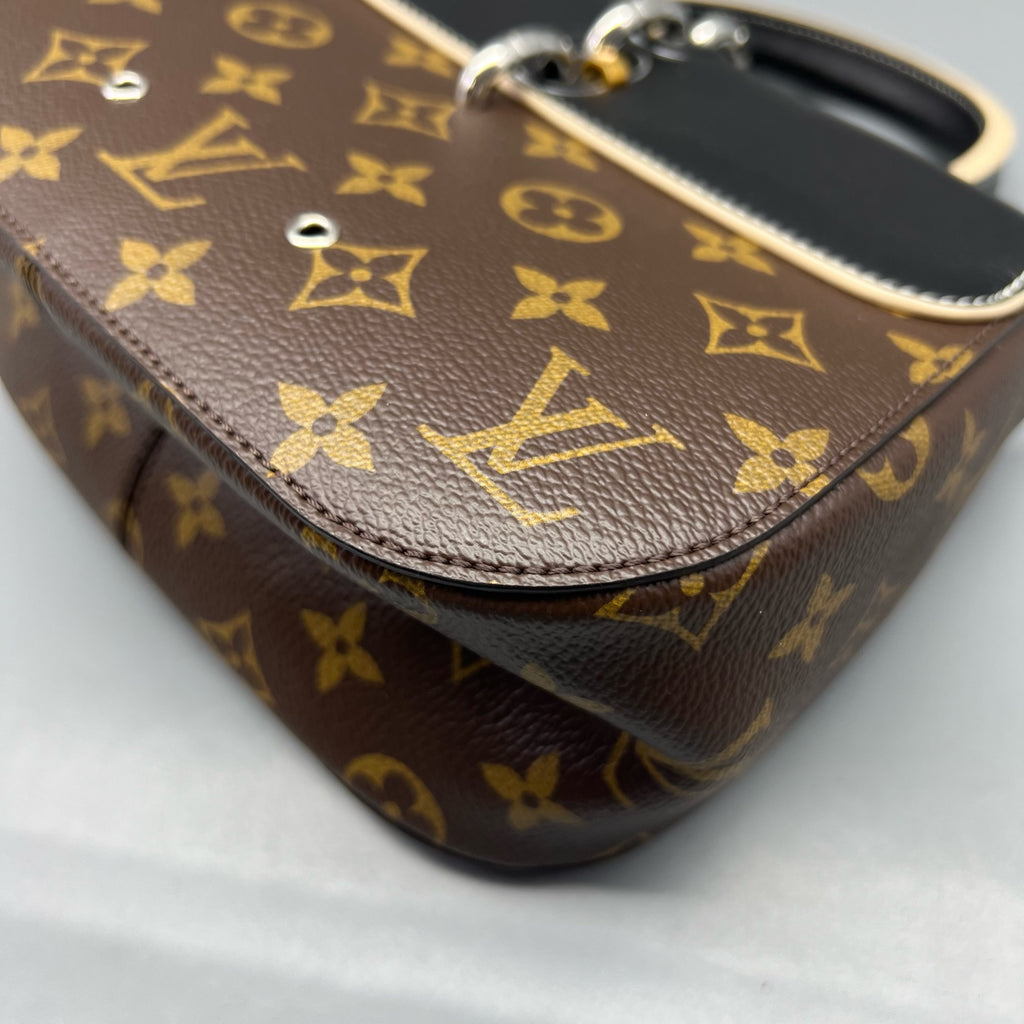 Louis Vuitton Saddle Bag