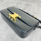 Celine TRIOMPHE Glossy Cowhide Shoulder Bag 194143BF4.38NO