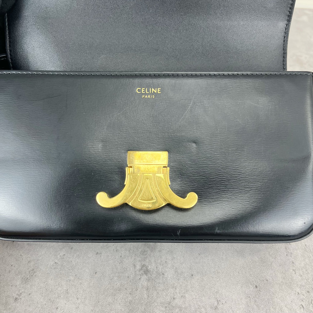 Celine TRIOMPHE Glossy Cowhide Shoulder Bag 194143BF4.38NO