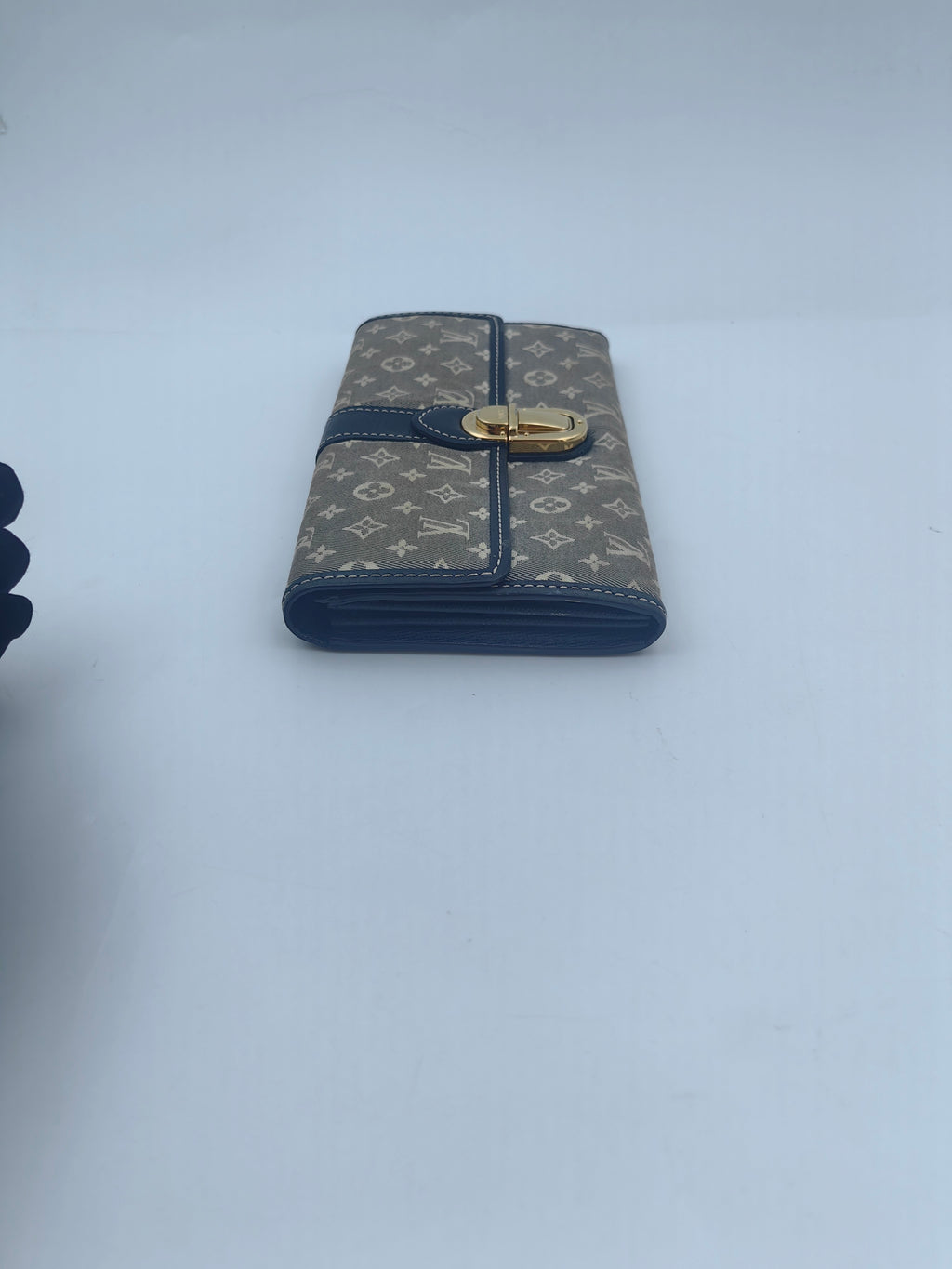 Louis Vuitton Blue