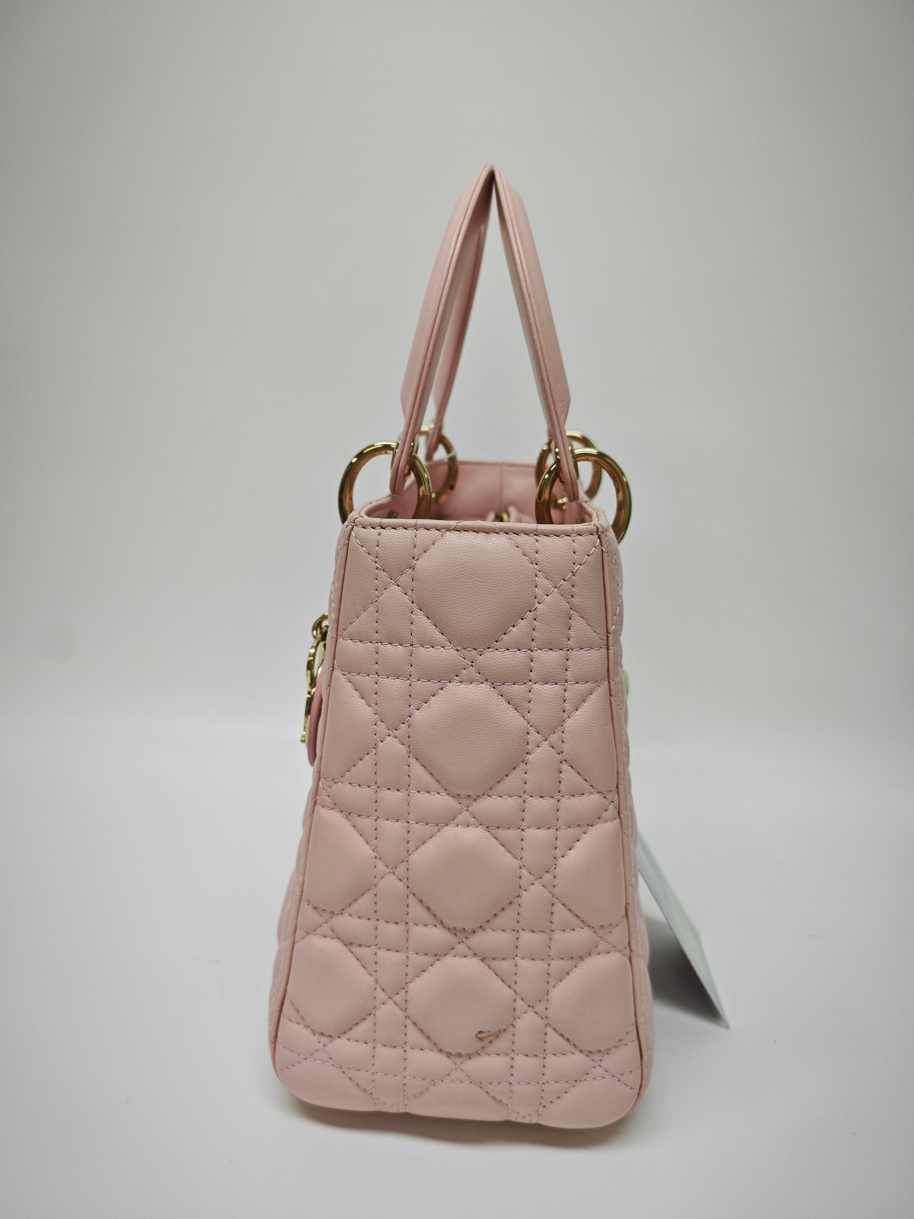 Dior Pink Crossbody