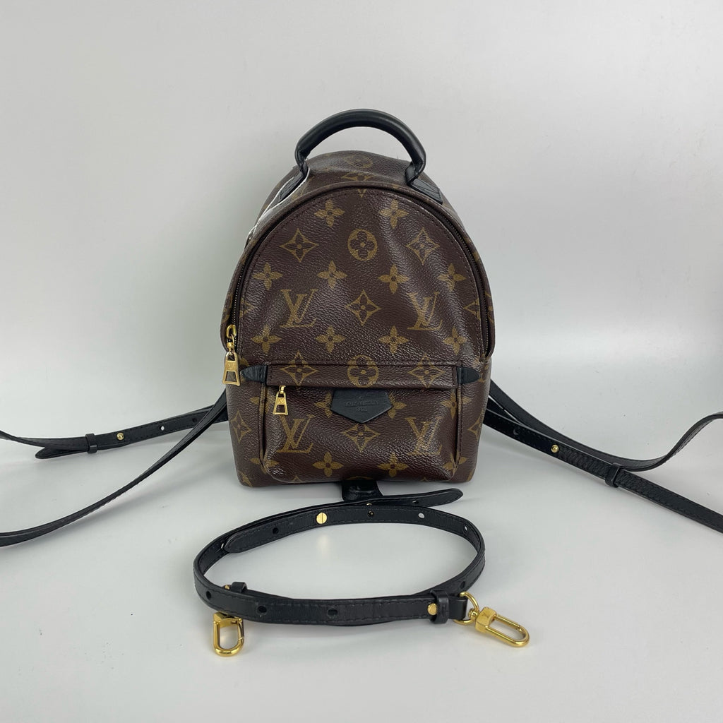 Louis Vuitton Backpack