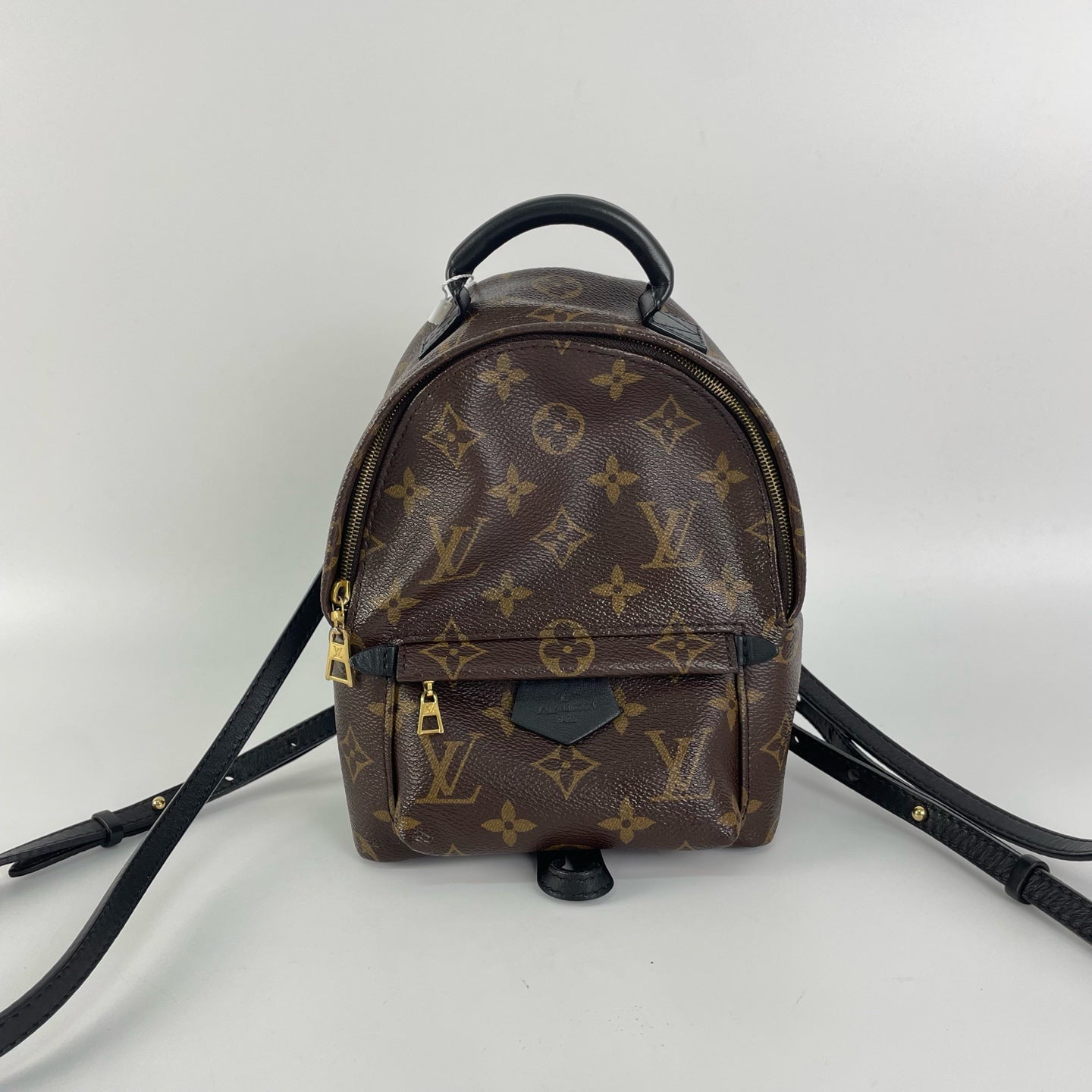 Louis Vuitton Backpack