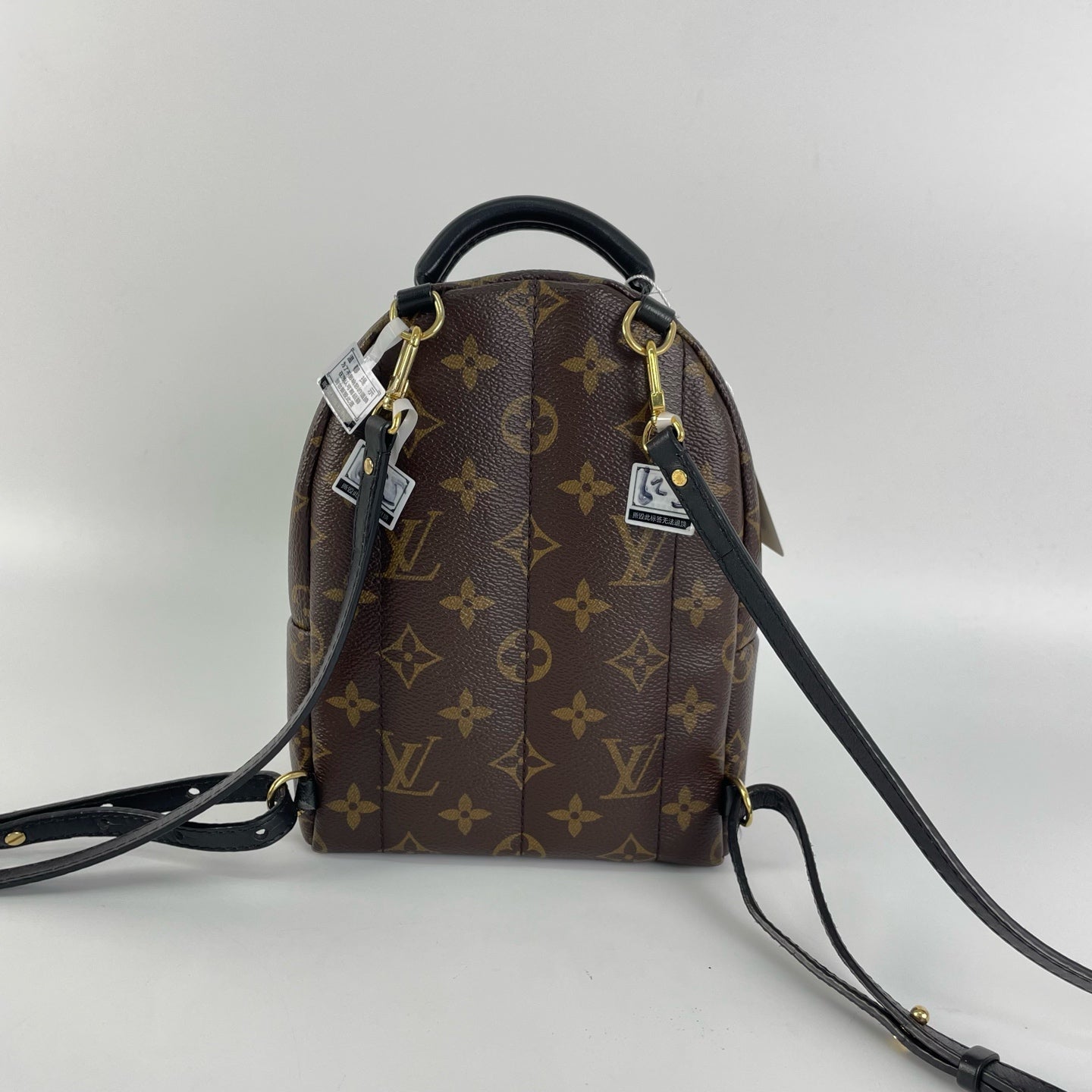 Louis Vuitton Backpack