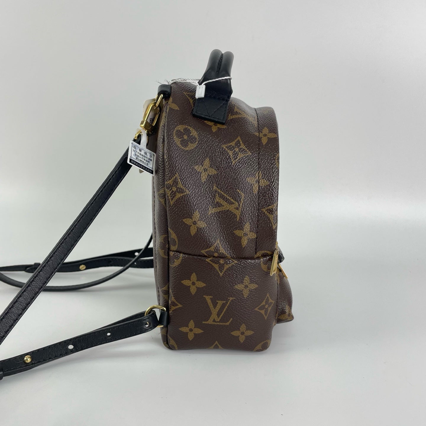 Louis Vuitton Backpack