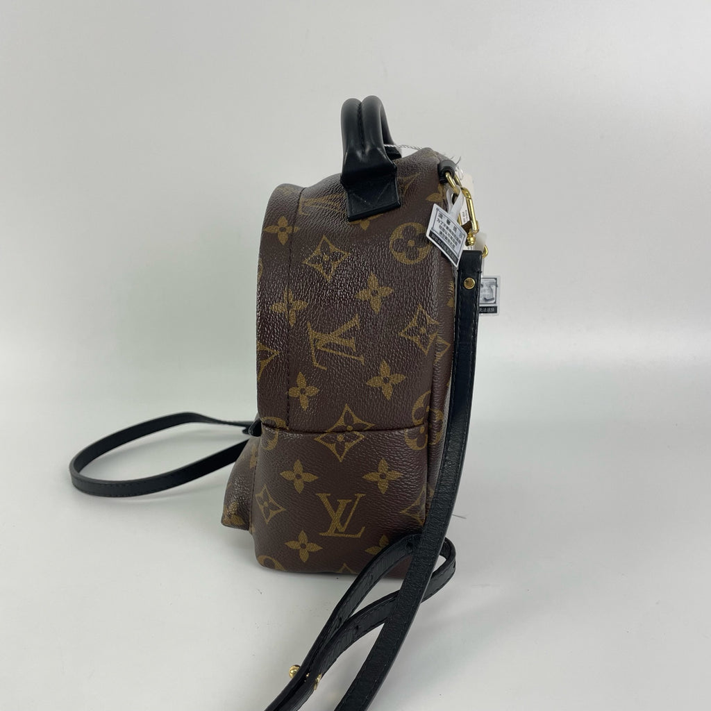 Louis Vuitton Backpack
