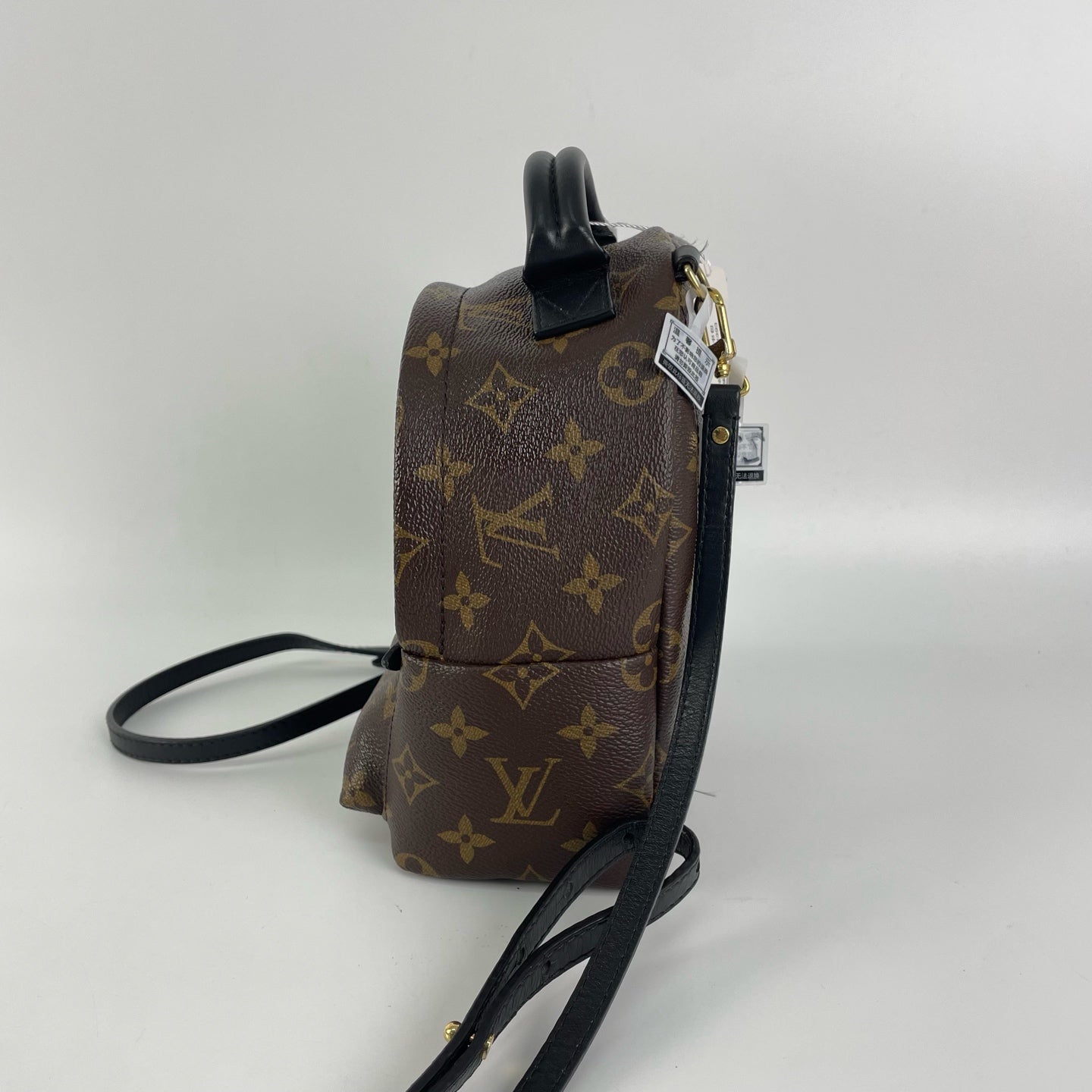 Louis Vuitton Backpack