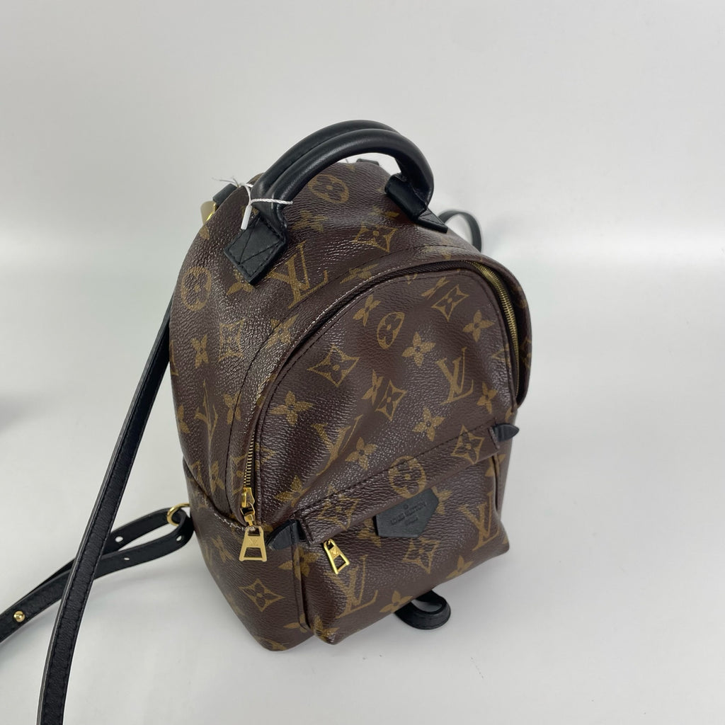 Louis Vuitton Backpack