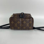 Louis Vuitton Backpack
