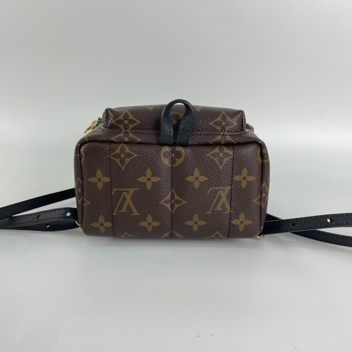 Louis Vuitton Backpack