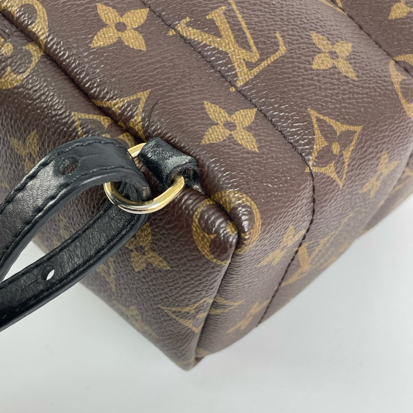 Louis Vuitton Backpack