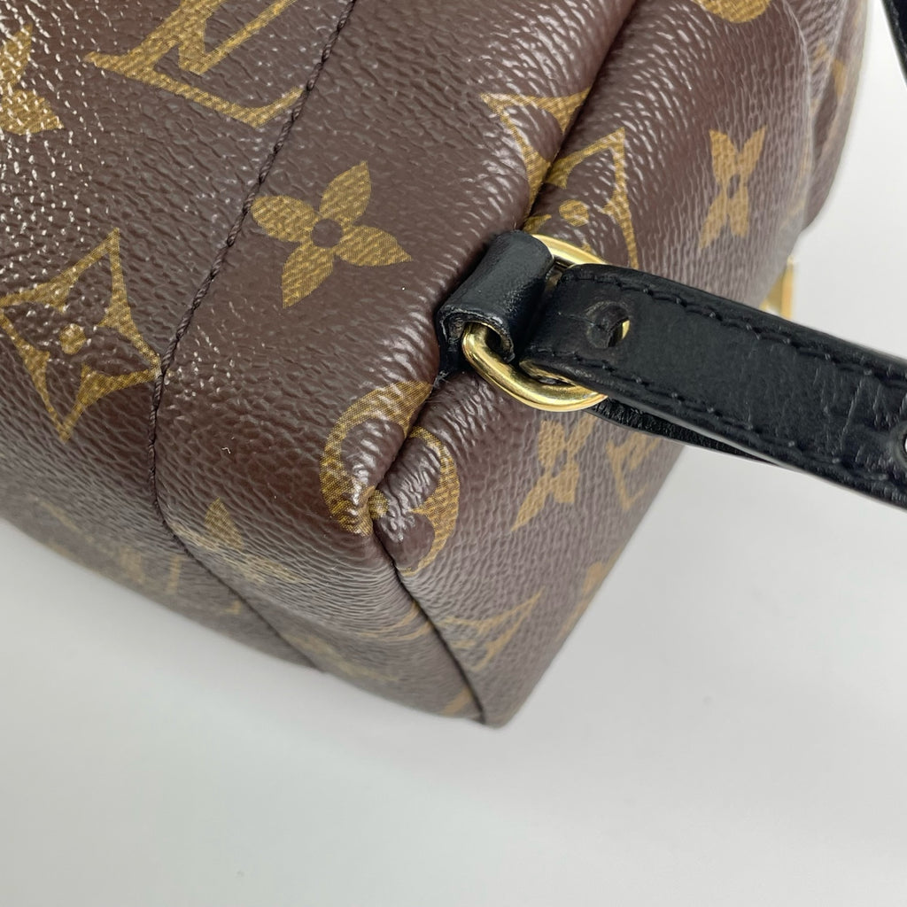 Louis Vuitton Backpack