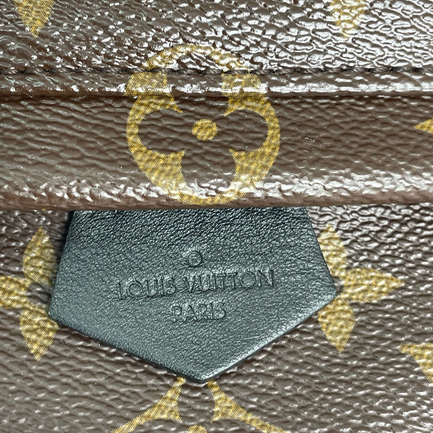 Louis Vuitton Backpack