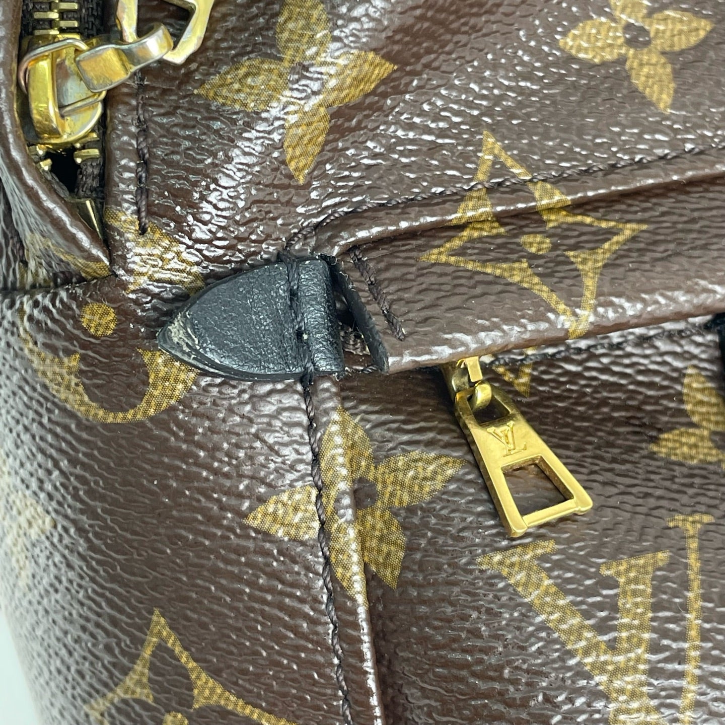 Louis Vuitton Backpack