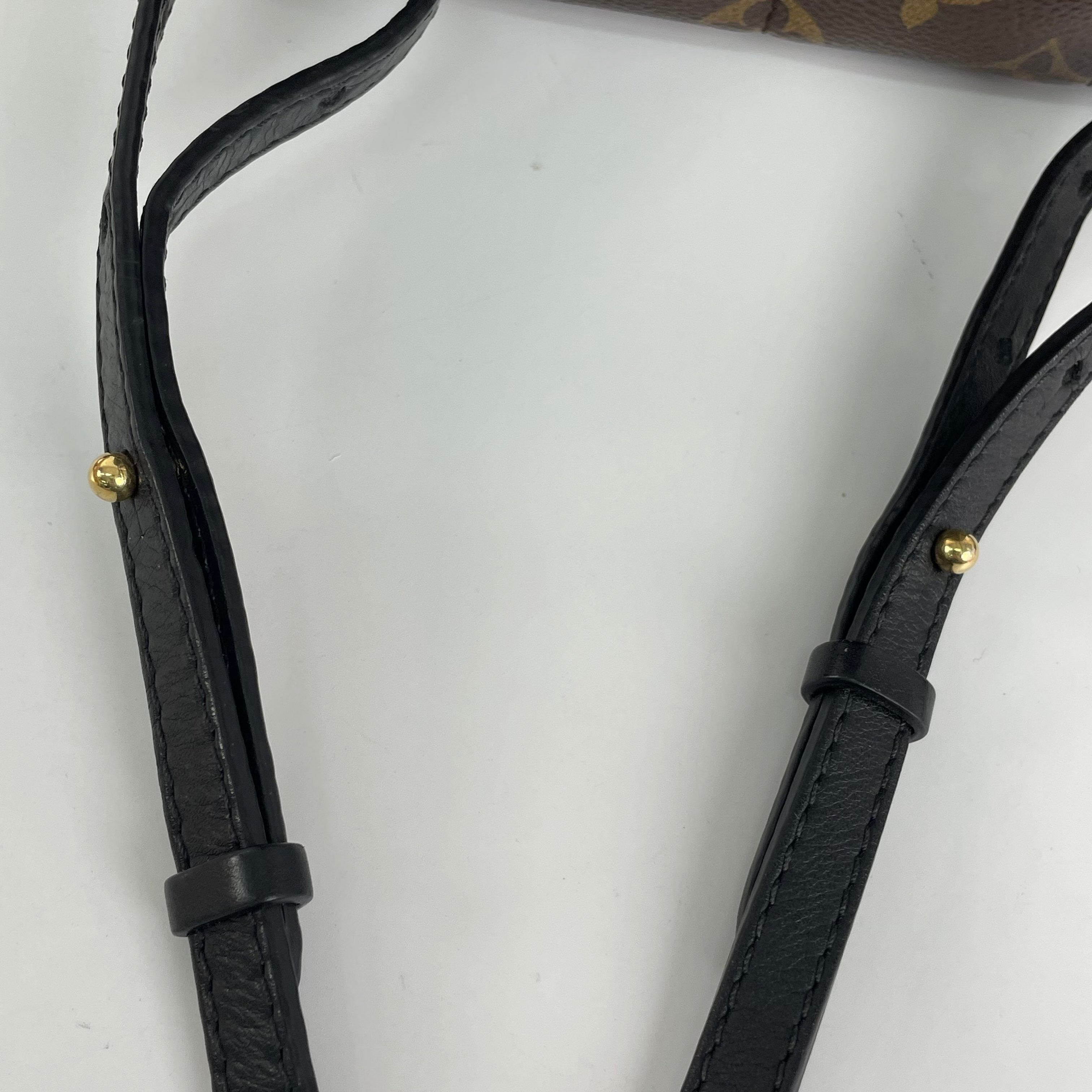 Louis Vuitton Backpack