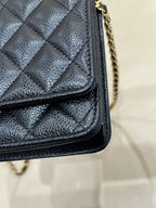 Chanel woc 19.2×4×12.5 AP0250-Y01864-C3906