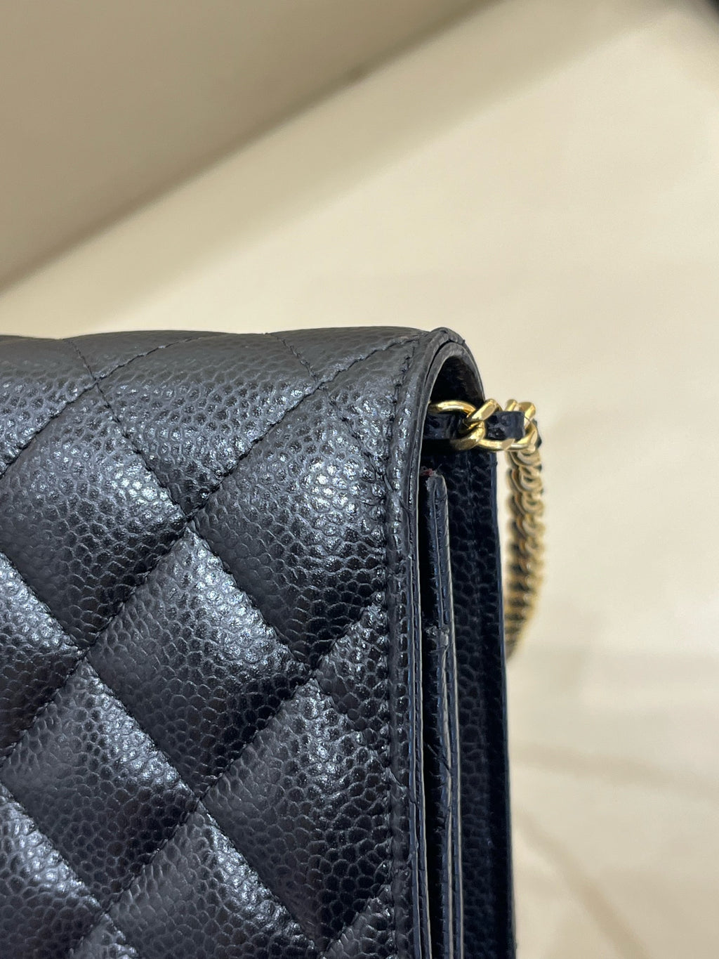 Chanel woc 19.2×4×12.5 AP0250-Y01864-C3906