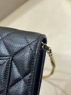 Chanel woc 19.2×4×12.5 AP0250-Y01864-C3906