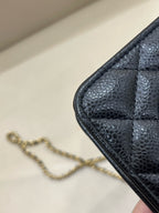 Chanel woc 19.2×4×12.5 AP0250-Y01864-C3906