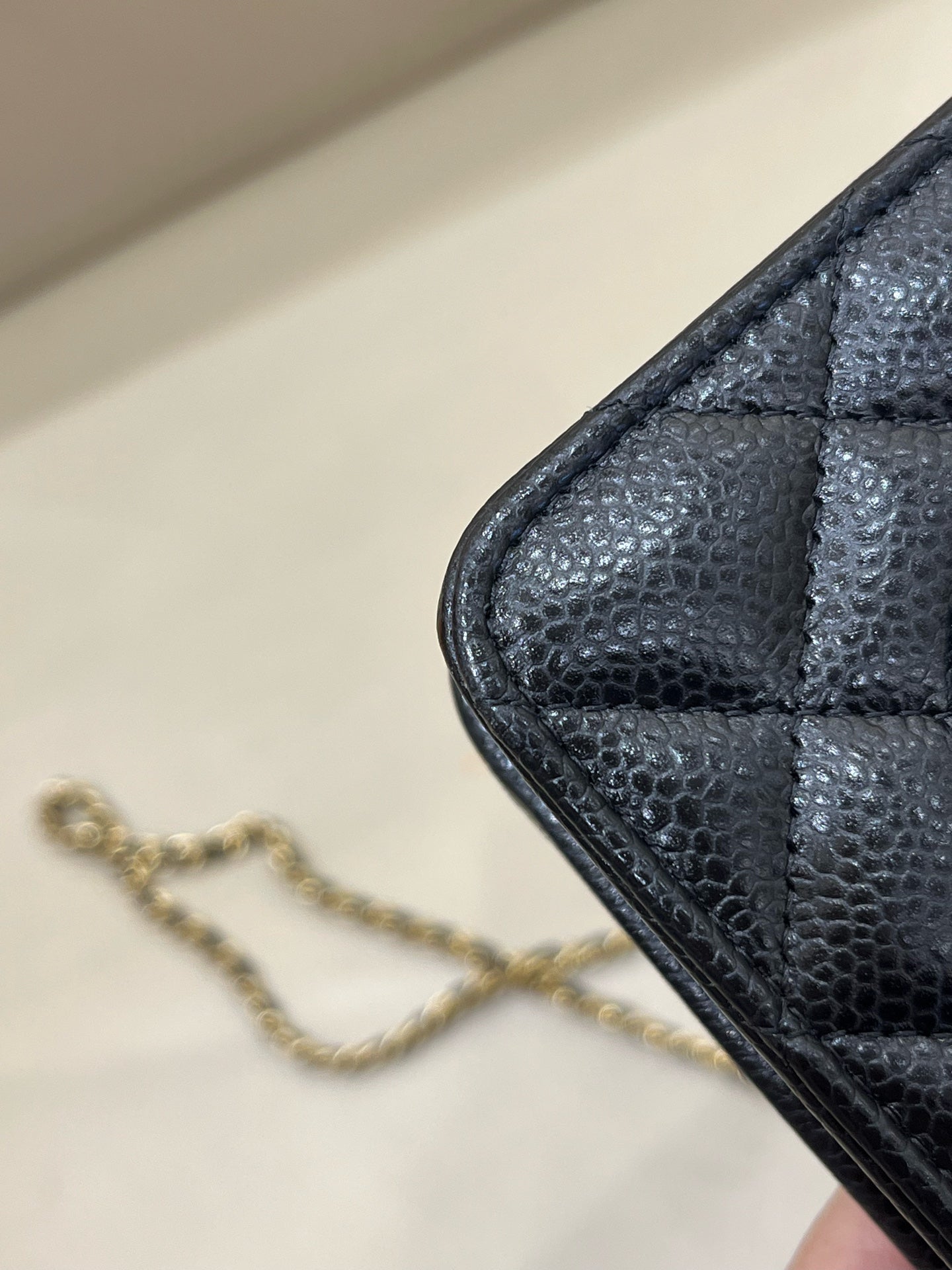 Chanel woc 19.2×4×12.5 AP0250-Y01864-C3906
